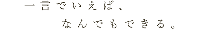 一言でいえば、なんでもできる。